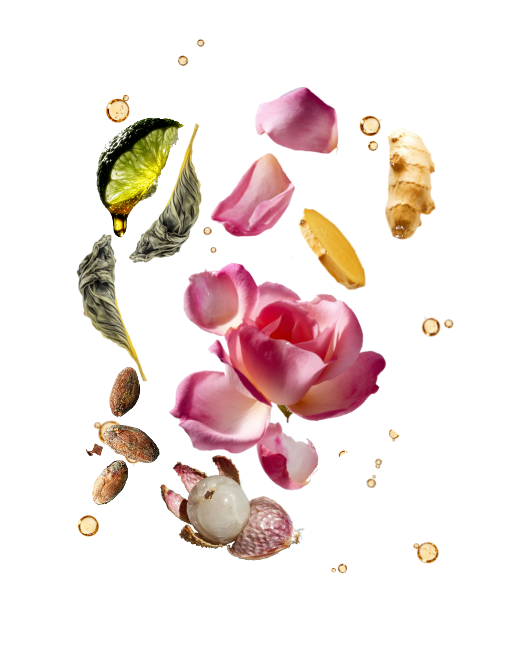 Sierra •Fruité, floral & épicé•
